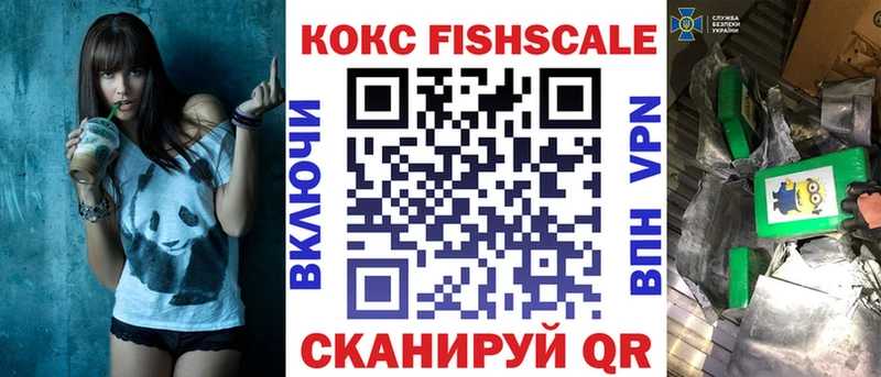 Купить закладки  Суздаль  Cocaine Fish Scale 